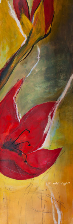 Amaryllis 2