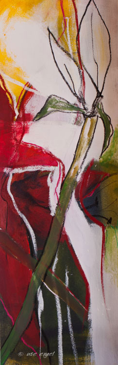 Amaryllis 3