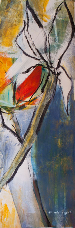 Amaryllis 4